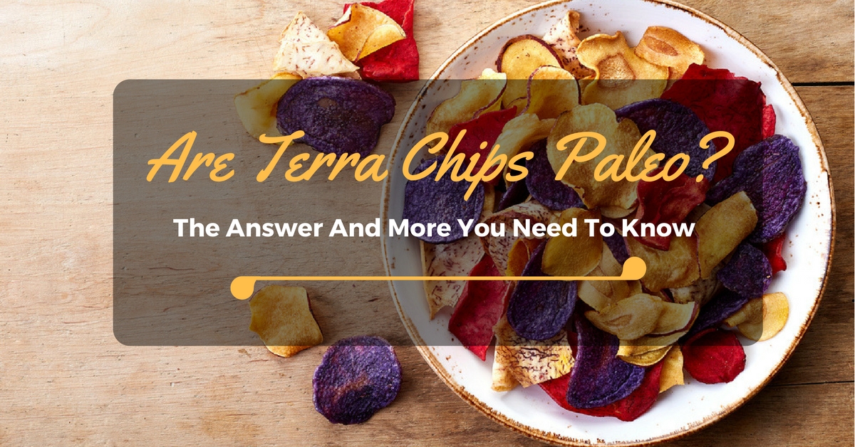 terra-chips-paleo-6